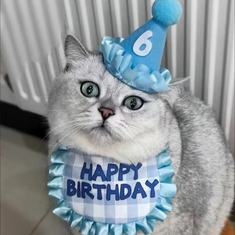 Pet Dog Cat Pre-Order Happy Birthday Party Accessories Kit Hat With Adjustable Band