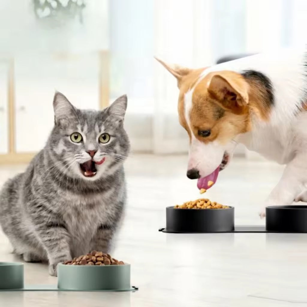 Pet Travel Dog Cat Water Feeding Pre-Order Foldable Portable Silicone Bowl