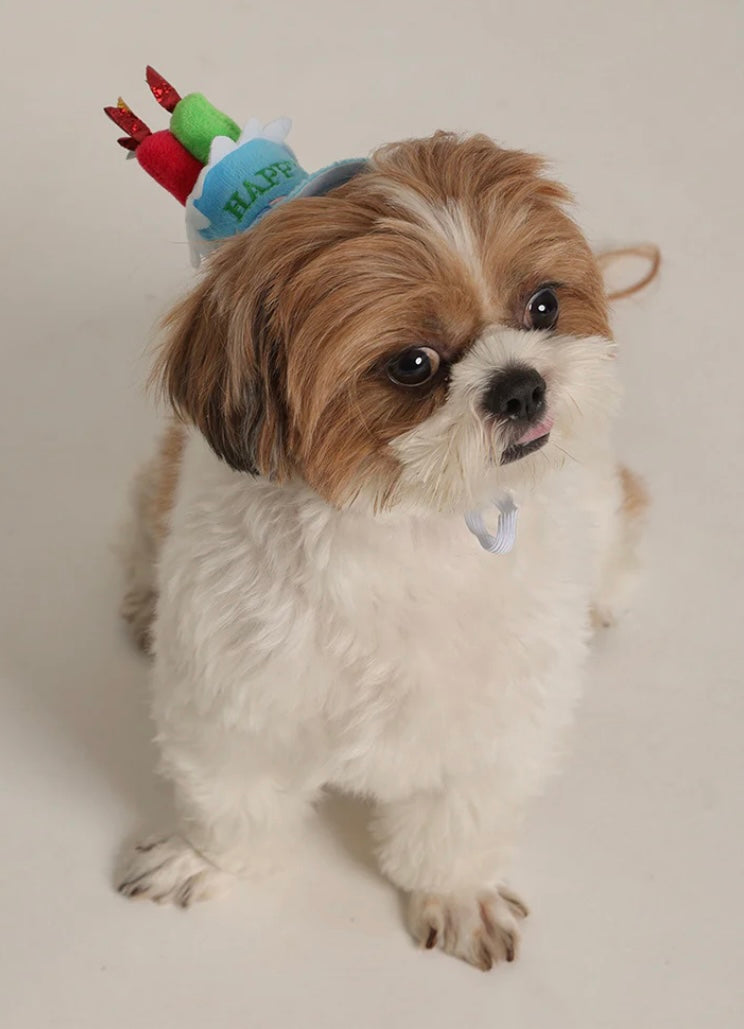 Pet Dog Cat Pre-Order Happy Birthday Party Candle Hat With Adjustable Band