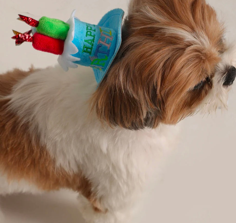Pet Dog Cat Pre-Order Happy Birthday Party Candle Hat With Adjustable Band