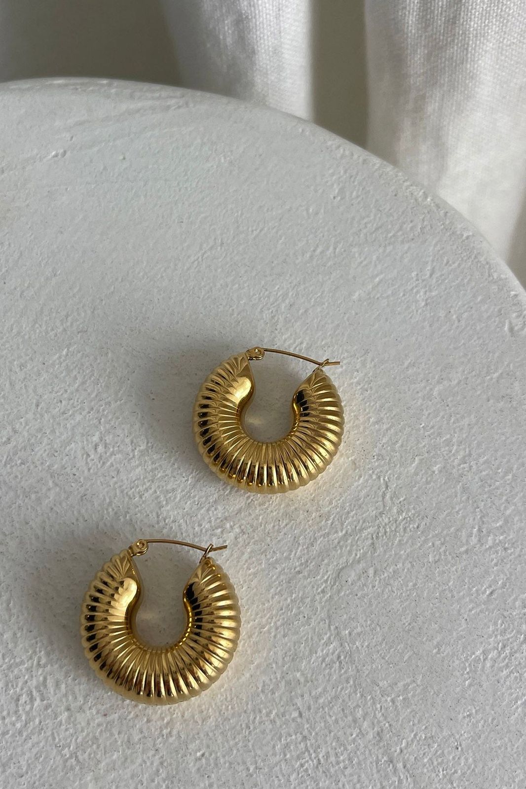 Hana Tube Hoops Earring